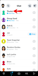 Chat Section